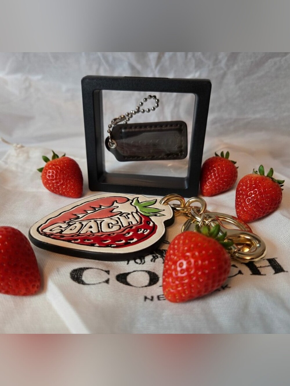 COACH 3-fer Leather Strawberry Keychain, Blk Leather Keychain, Coach Dusty